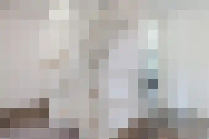 Op den Oever 37 Heerde thumbnail 30