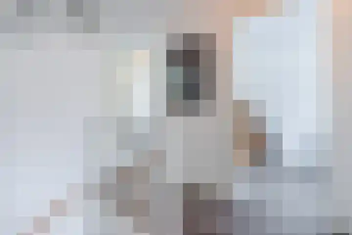 Op den Oever 37 Heerde thumbnail 31