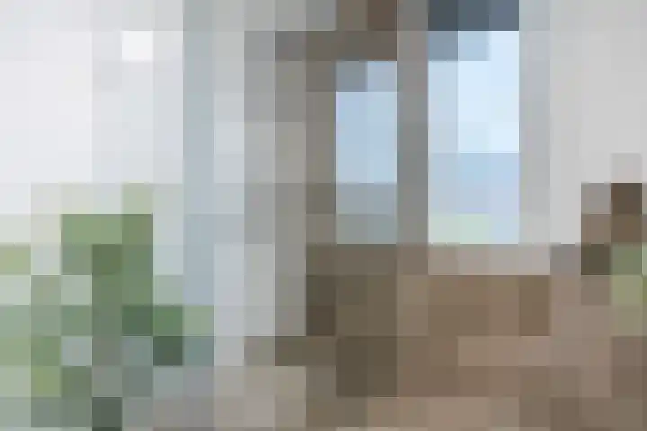 Op den Oever 37 Heerde thumbnail 41