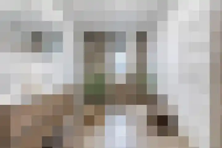 Op den Oever 37 Heerde thumbnail 42