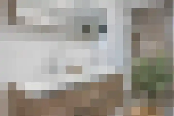 Op den Oever 37 Heerde thumbnail 43