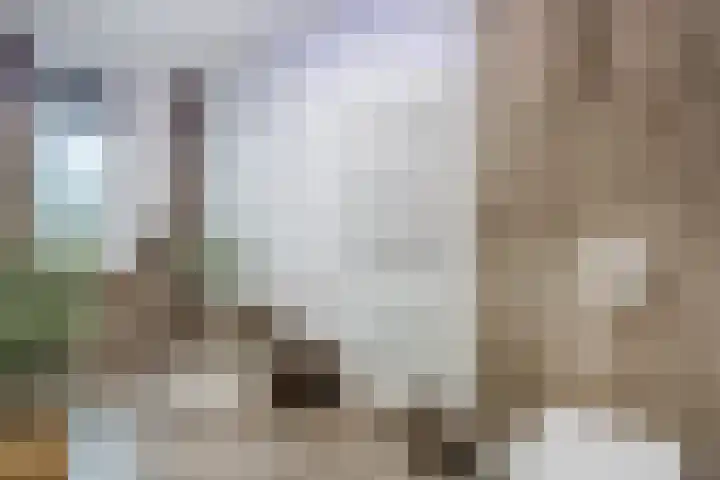 Op den Oever 37 Heerde thumbnail 44