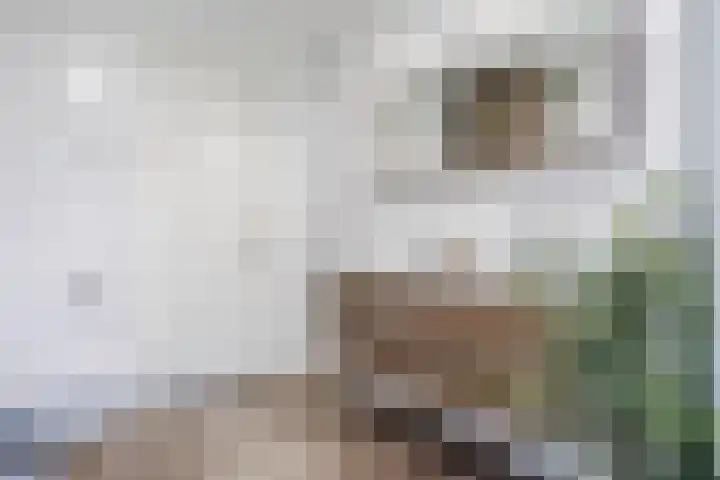 Op den Oever 37 Heerde thumbnail 45