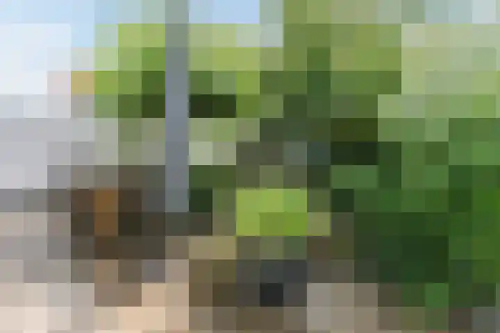 Op den Oever 37 Heerde thumbnail 49