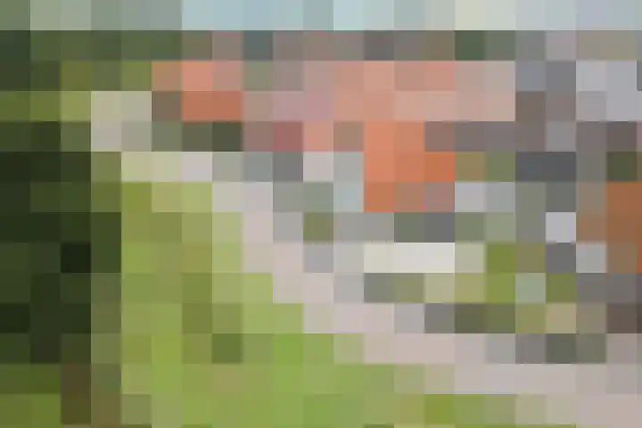 Op den Oever 37 Heerde thumbnail 6