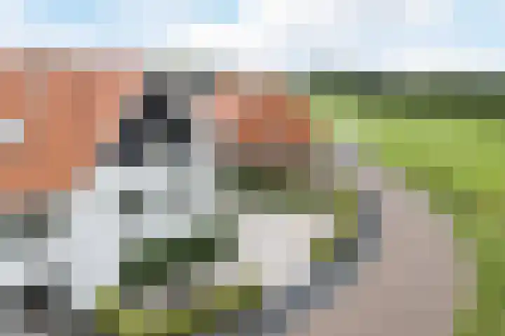 Op den Oever 37 Heerde thumbnail 7