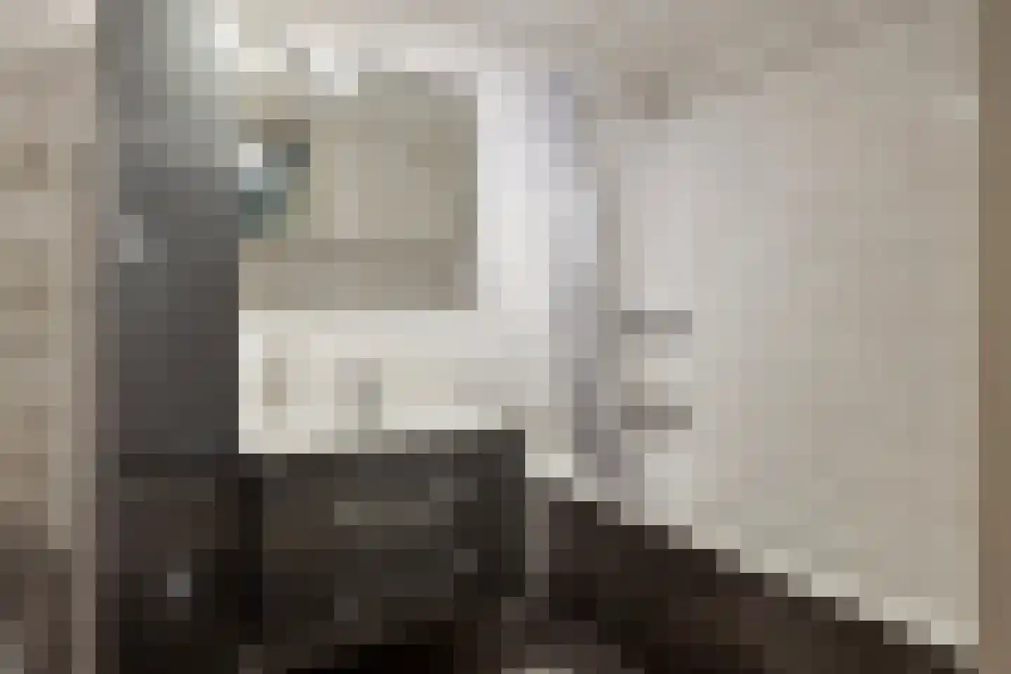 Op den Toum 23 Haelen thumbnail 18
