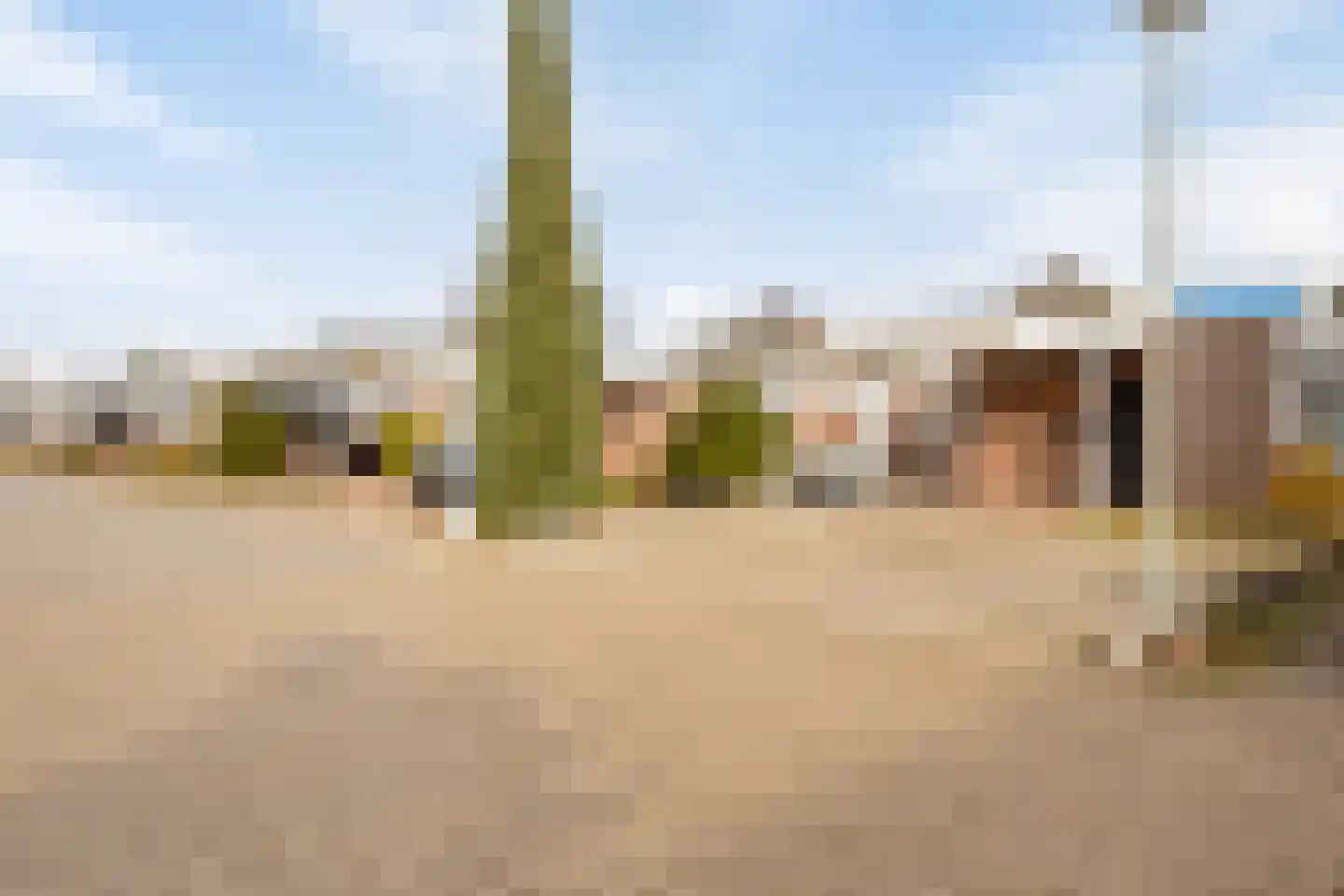 Op den Toum 23 Haelen thumbnail 26