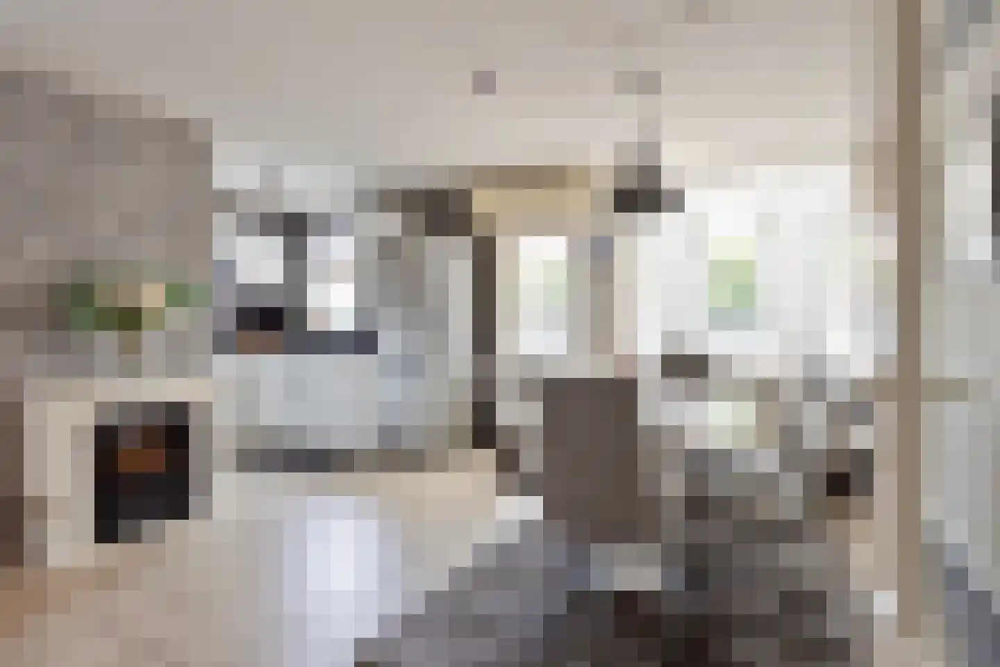 Op den Toum 23 Haelen thumbnail 6
