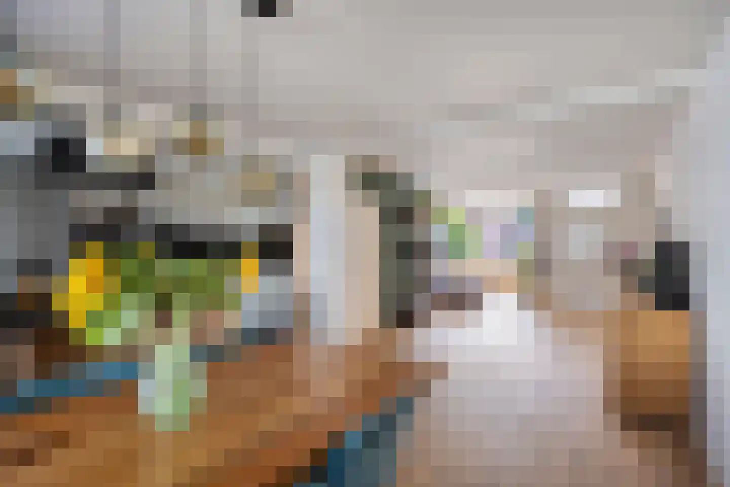 Op den Toum 47 Haelen thumbnail 14