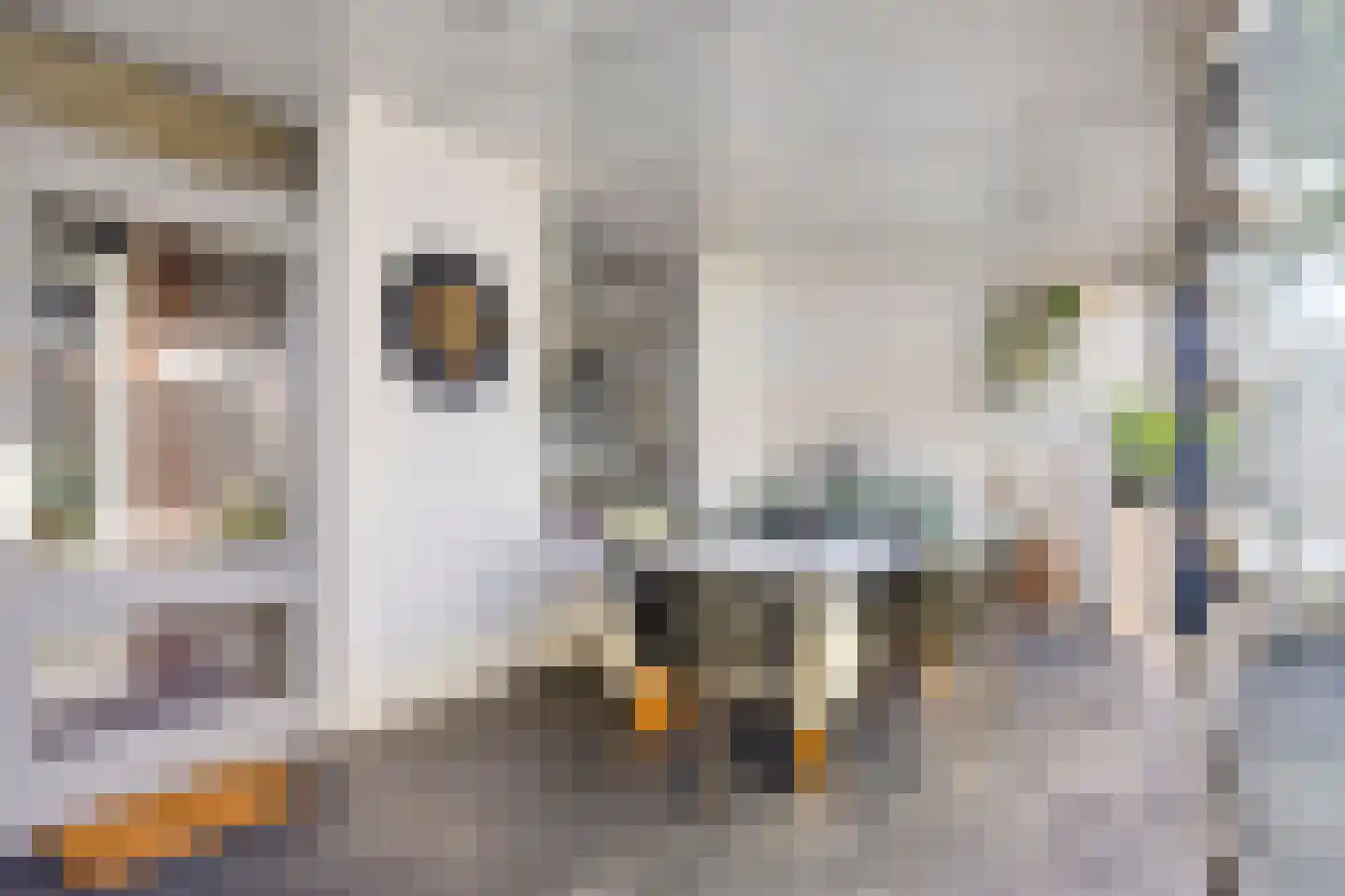 Op den Toum 47 Haelen thumbnail 18