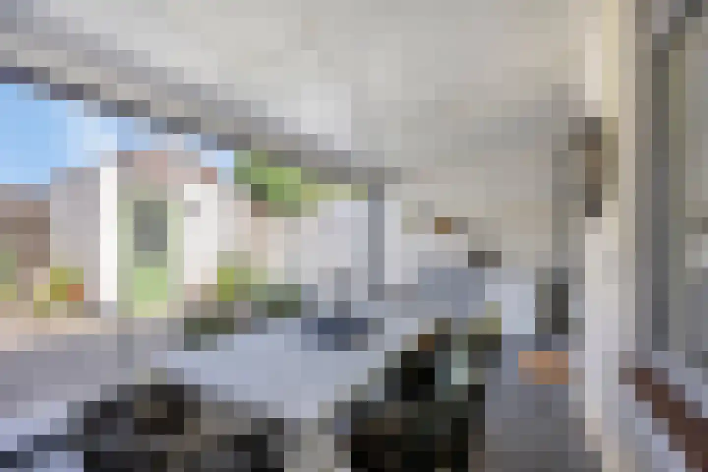 Op den Toum 47 Haelen thumbnail 19