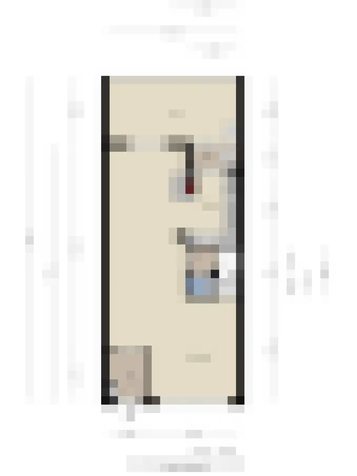 Op den Toum 47 Haelen thumbnail 41