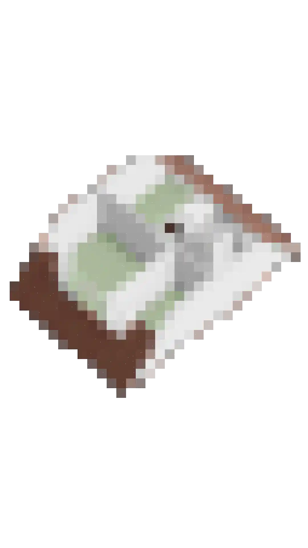 Op den Toum 47 Haelen thumbnail 47