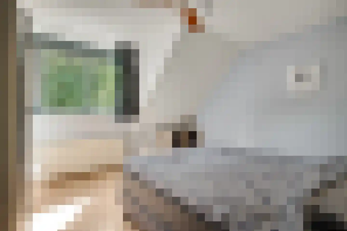 Op den Toum 73 Haelen thumbnail 18