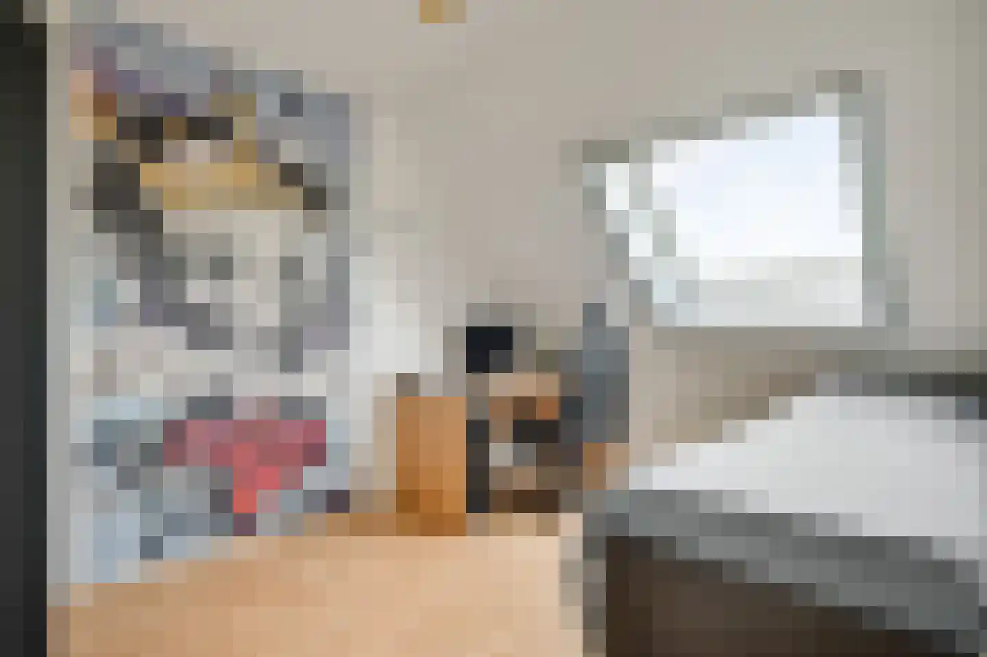 Op den Toum 73 Haelen thumbnail 20