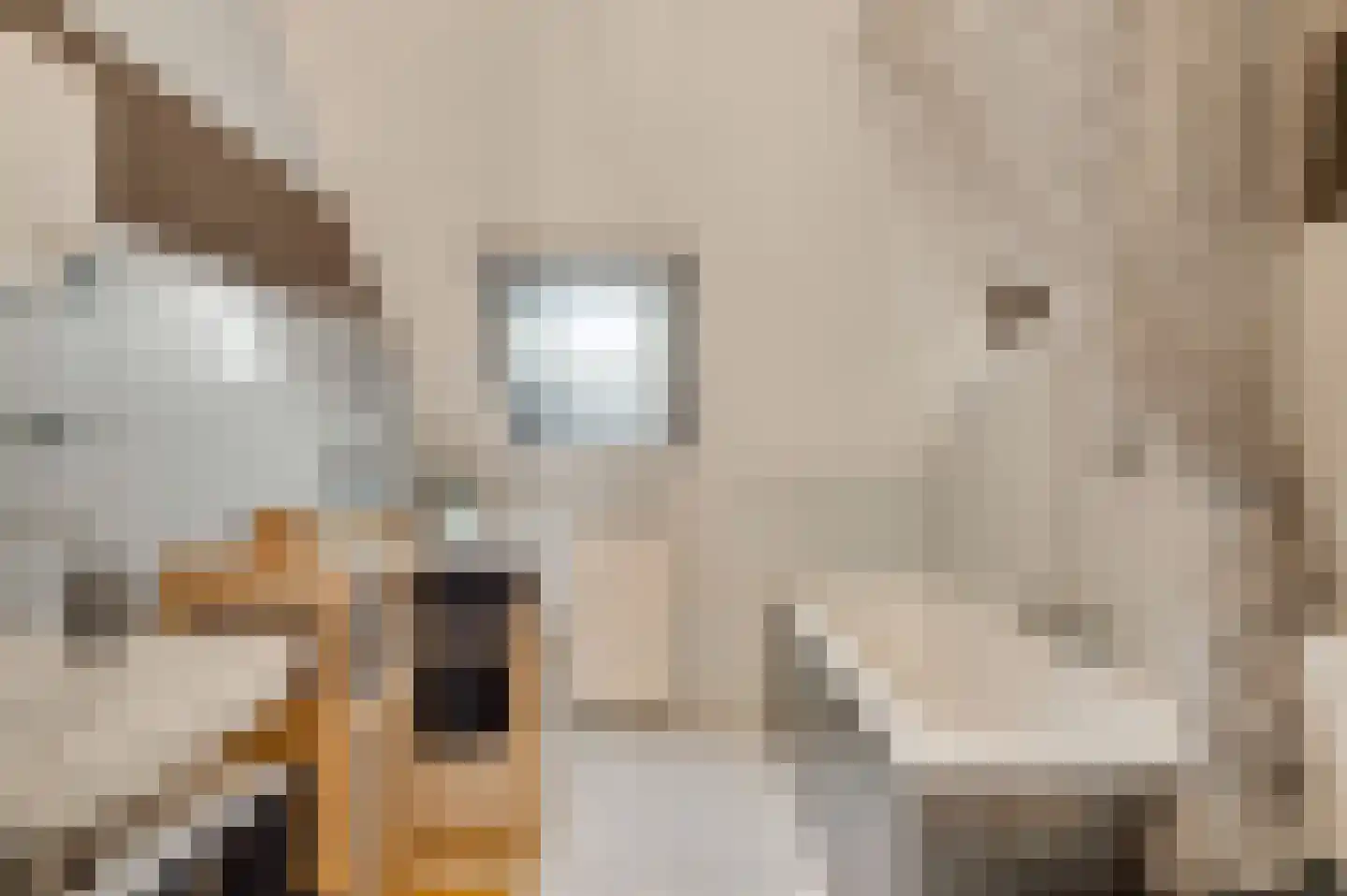 Op den Toum 73 Haelen thumbnail 22