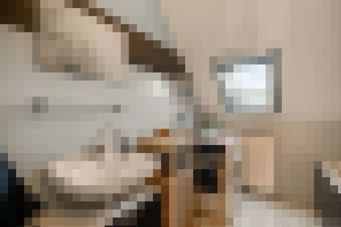 Op den Toum 73 Haelen thumbnail 23
