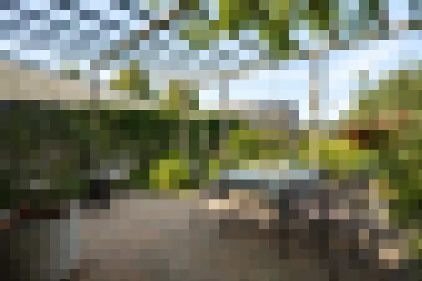 Op den Toum 73 Haelen thumbnail 26