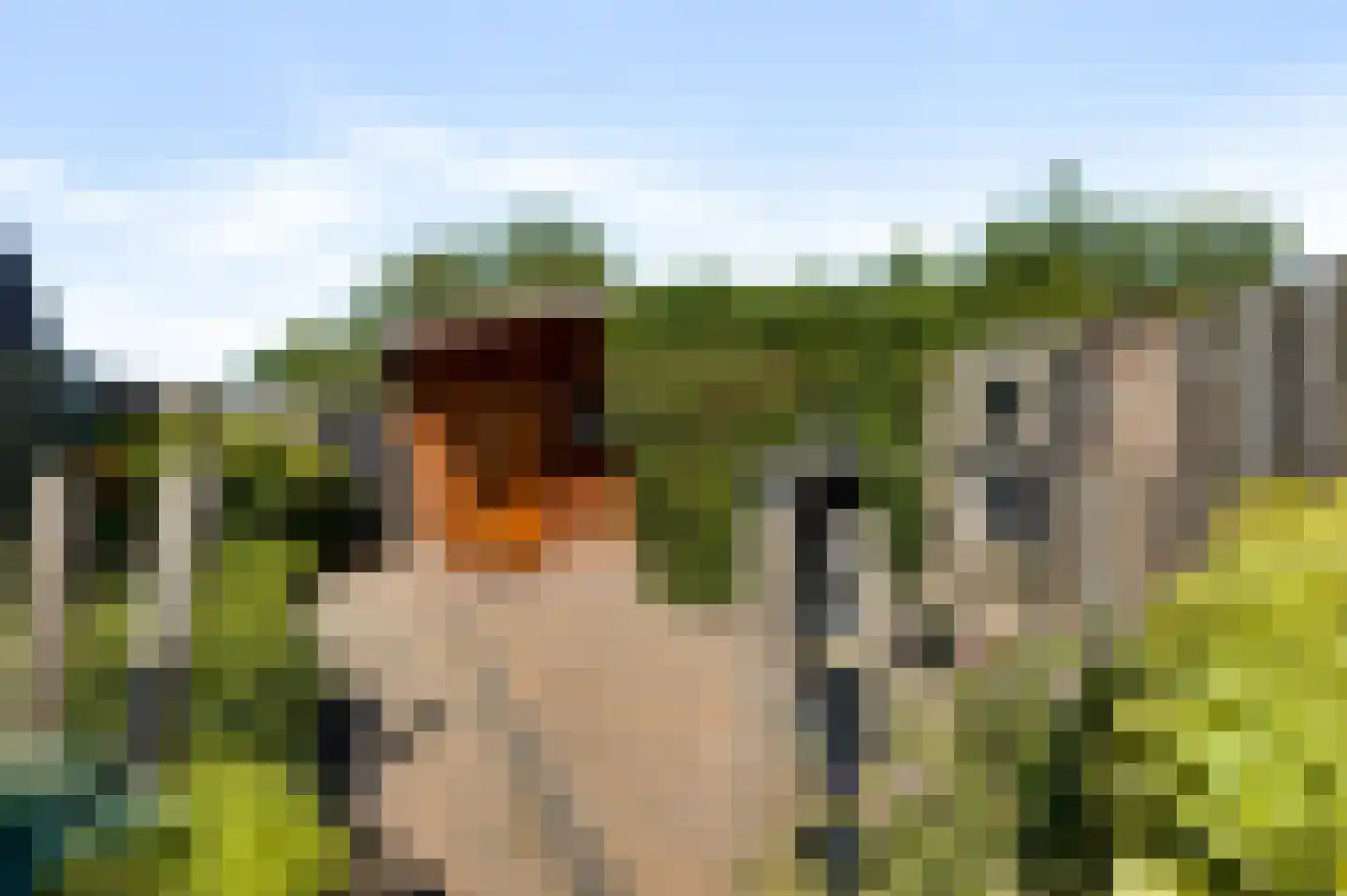 Op den Toum 73 Haelen thumbnail 27