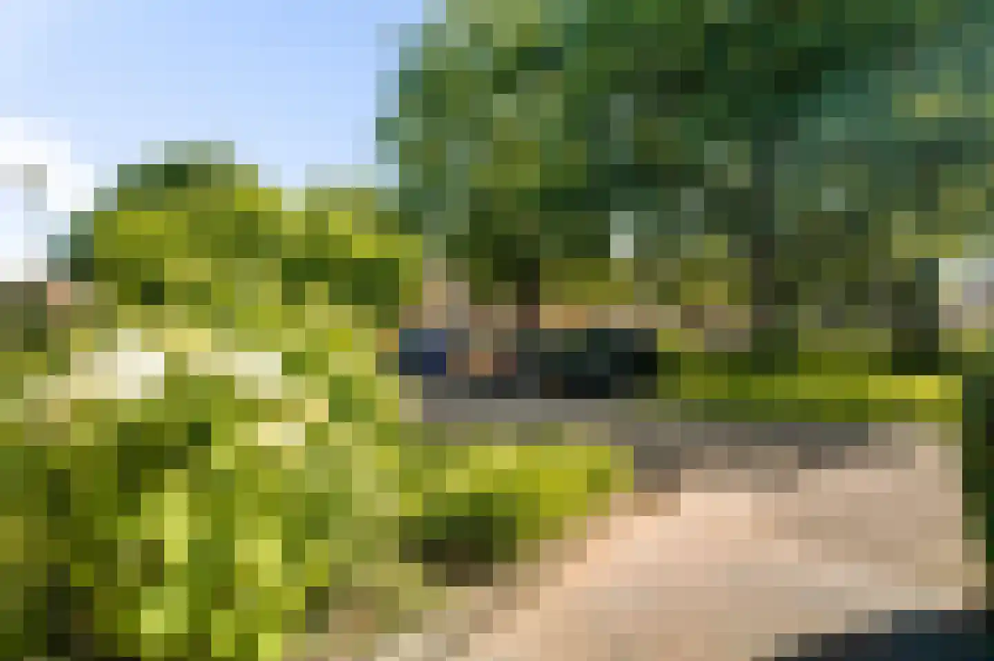 Op den Toum 73 Haelen thumbnail 31