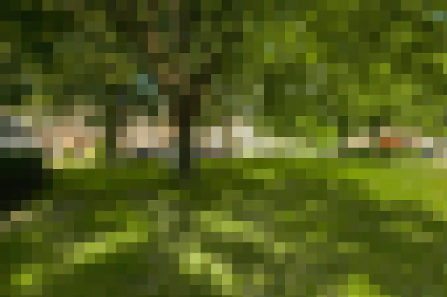 Op den Toum 73 Haelen thumbnail 32