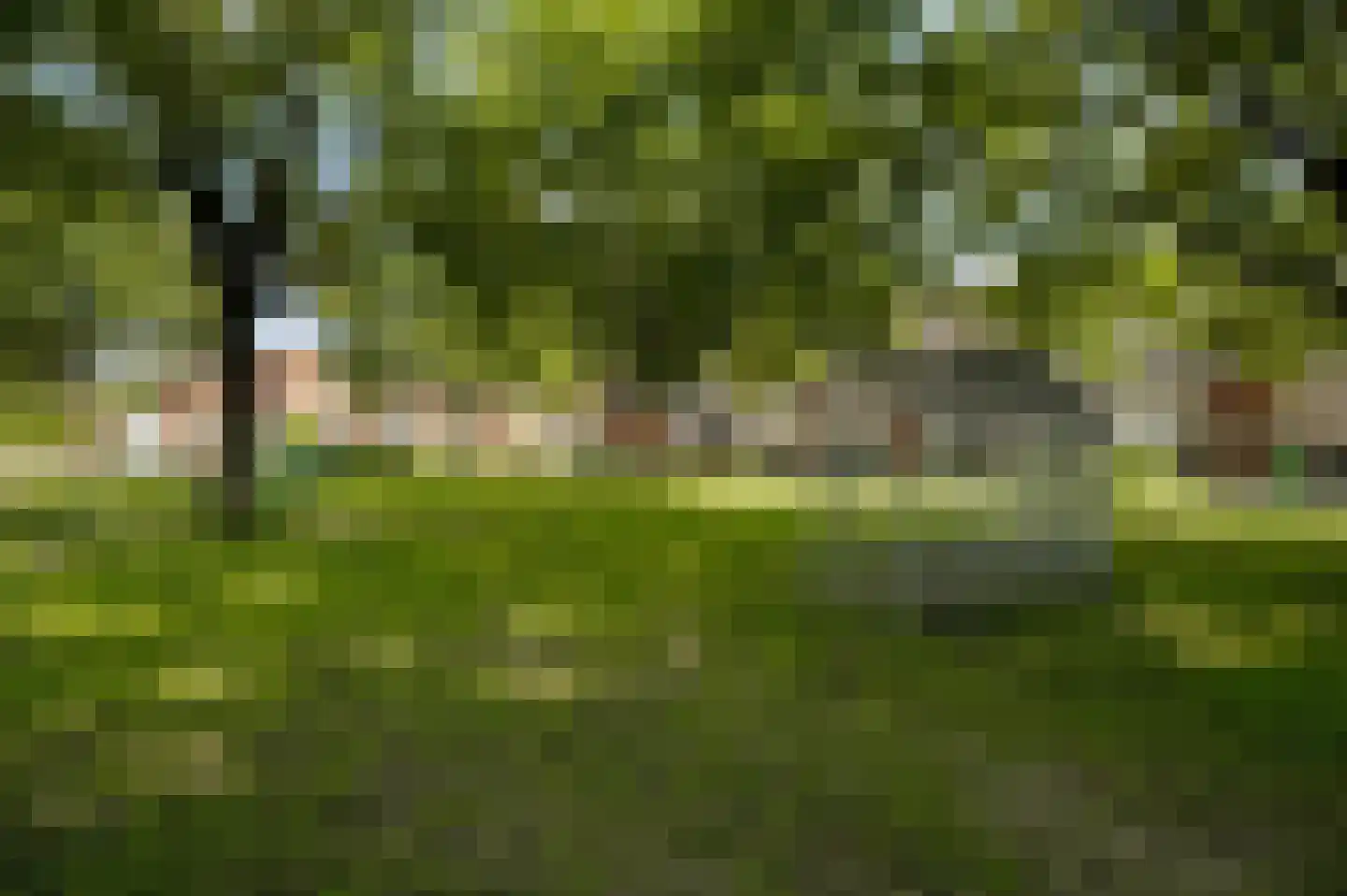 Op den Toum 73 Haelen thumbnail 36