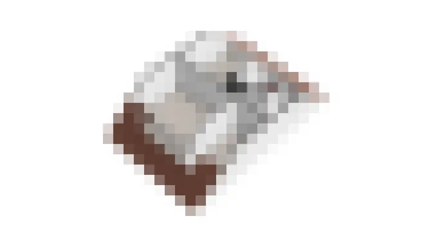 Op den Toum 73 Haelen thumbnail 44