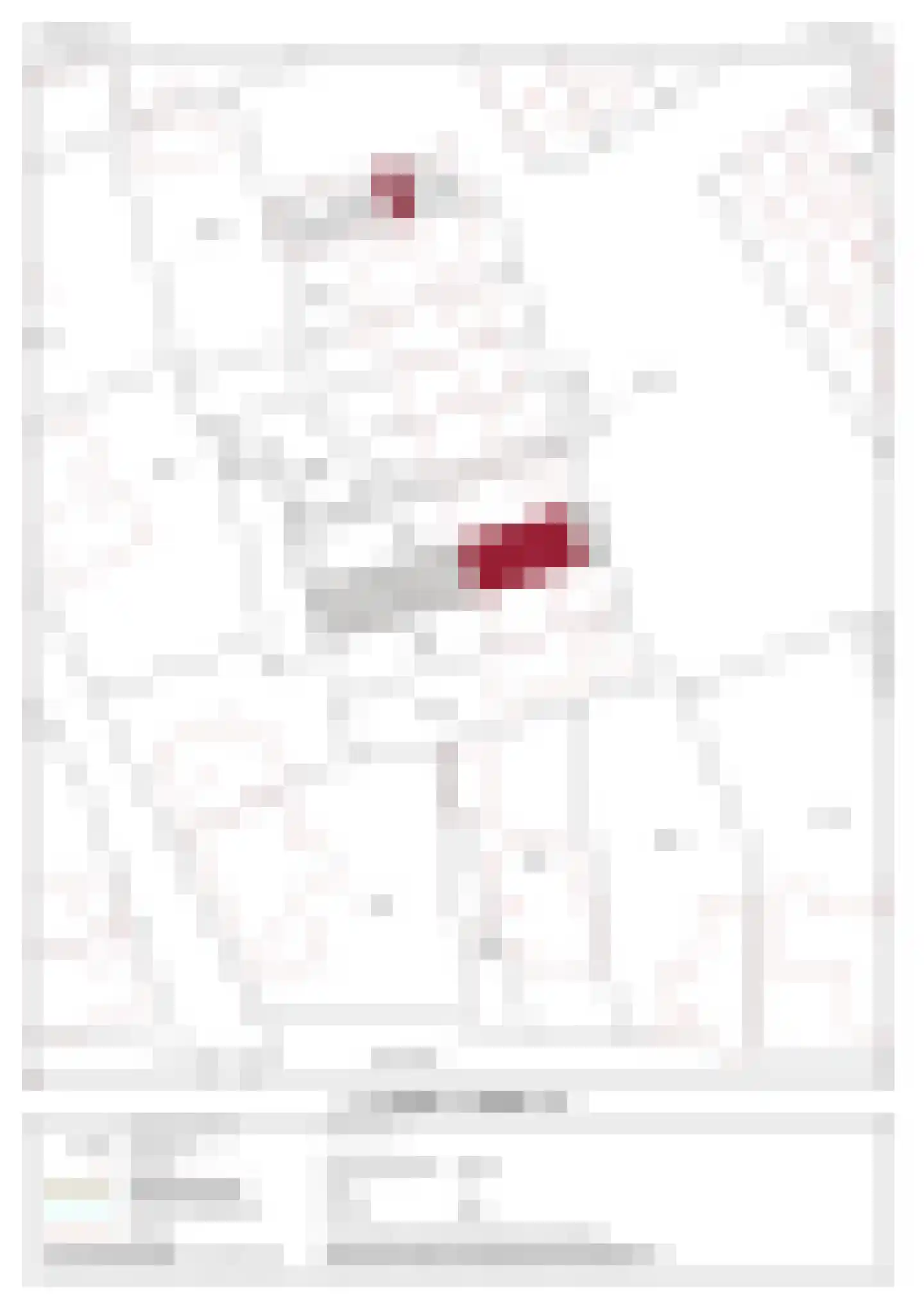 Op den Toum 73 Haelen thumbnail 48