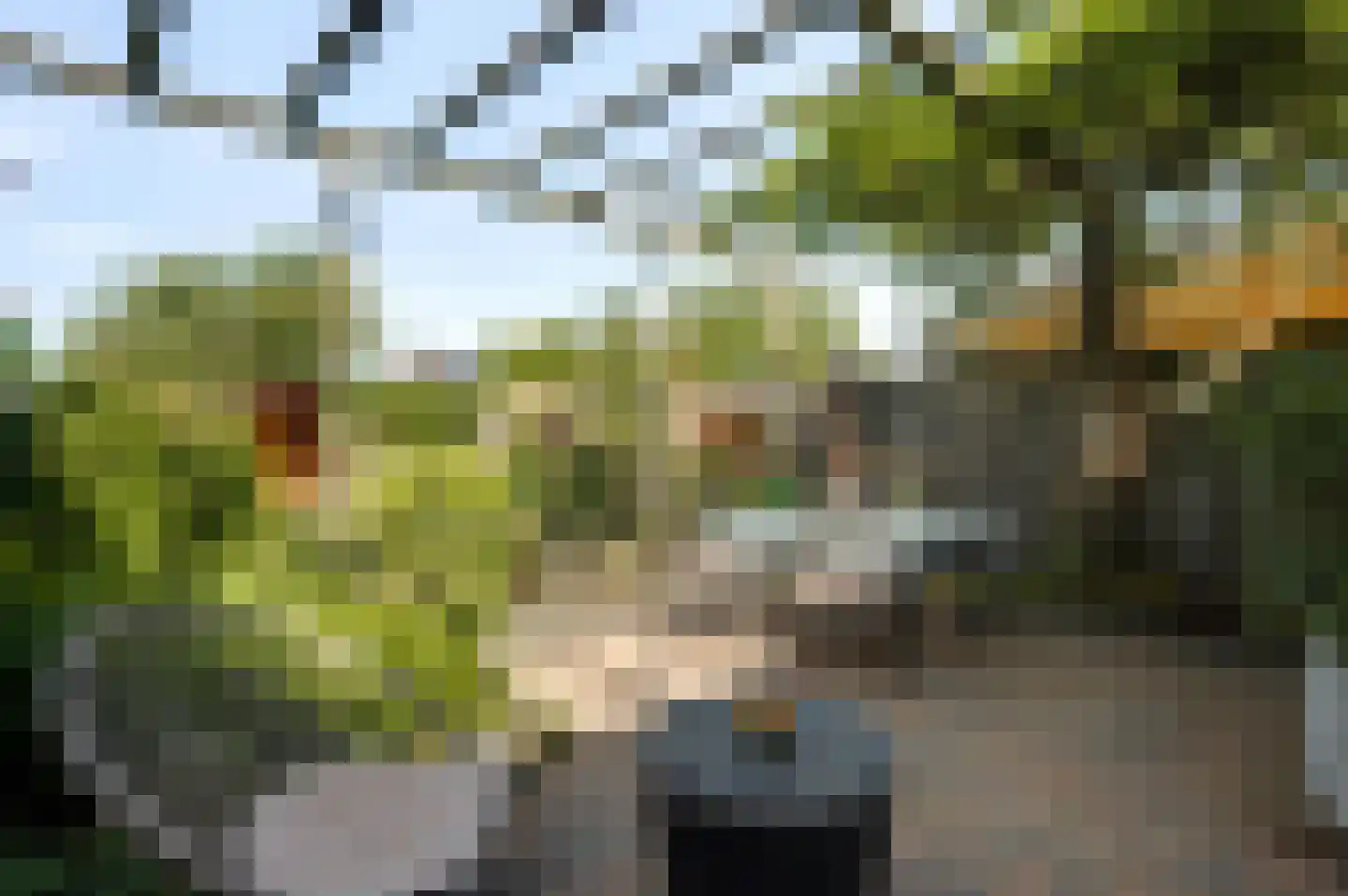 Op den Toum 73 Haelen thumbnail 5