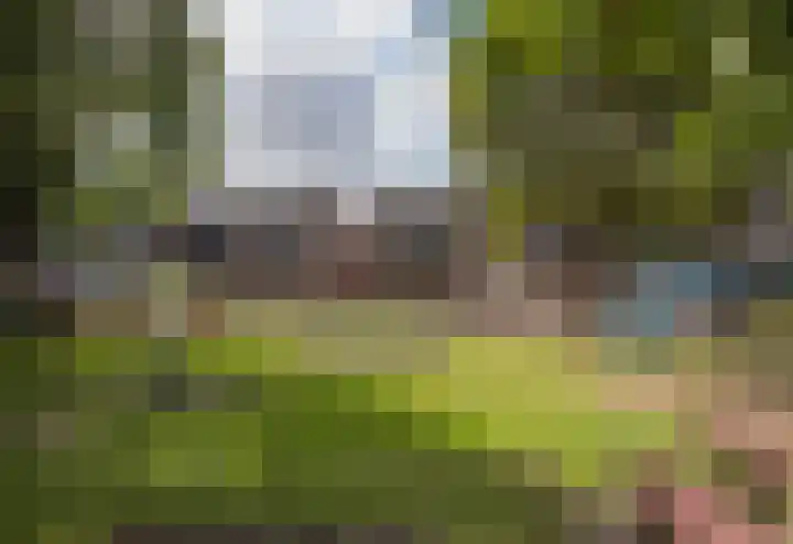 Op den Toum 77 Haelen thumbnail 17