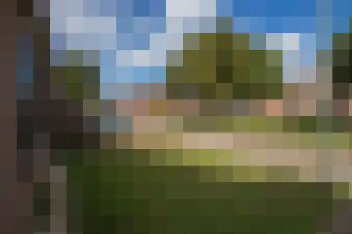 Op den Toum 77 Haelen thumbnail 19