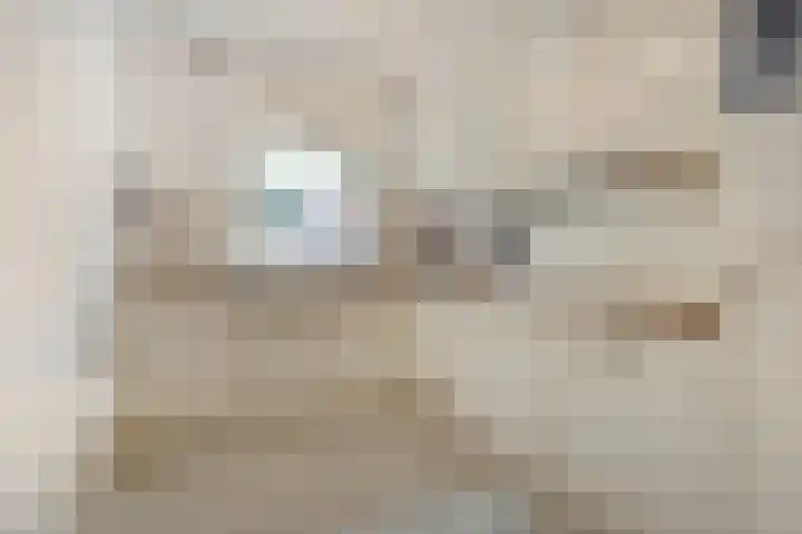 Op den Toum 93 Haelen thumbnail 12