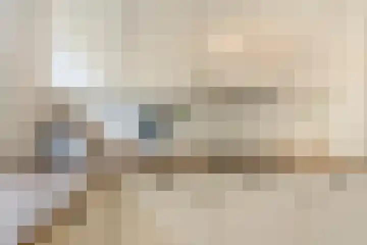 Op den Toum 93 Haelen thumbnail 13