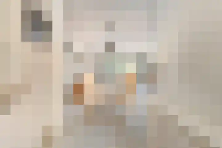 Op den Toum 93 Haelen thumbnail 14