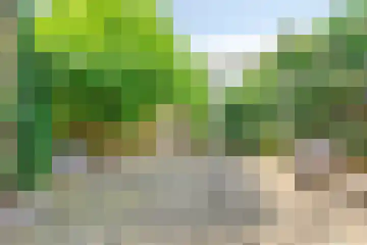 Op den Toum 93 Haelen thumbnail 21