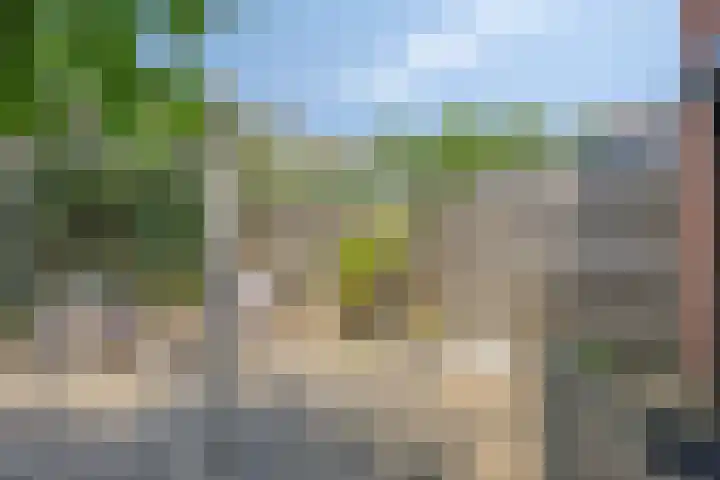 Op den Toum 93 Haelen thumbnail 22