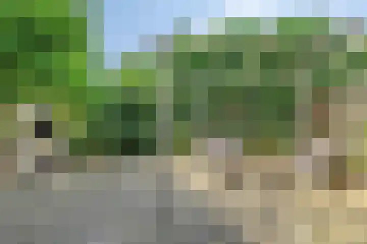 Op den Toum 93 Haelen thumbnail 23