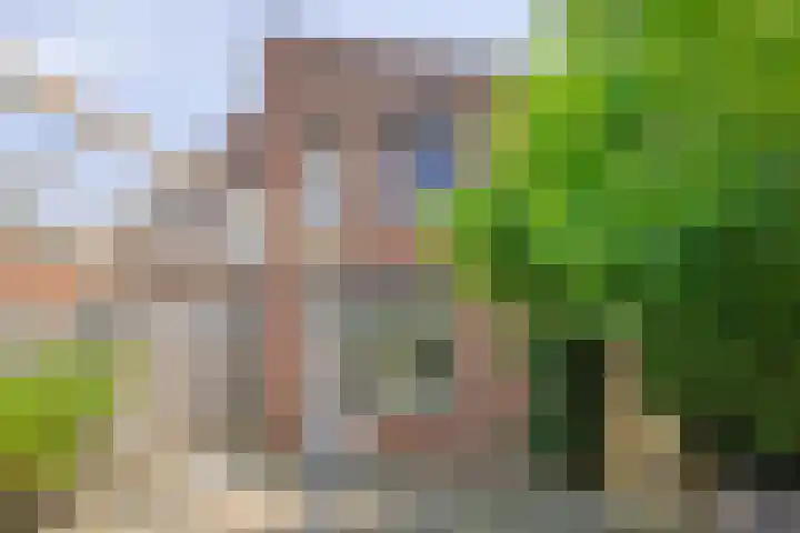 Op den Toum 93 Haelen thumbnail 24