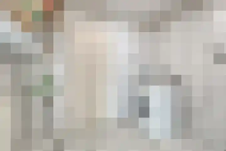 Op den Toum 93 Haelen thumbnail 25