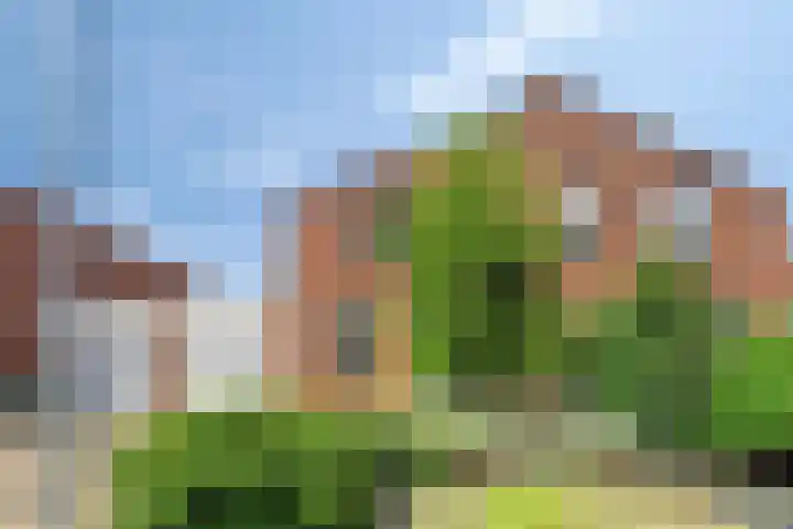Op den Toum 93 Haelen thumbnail 27
