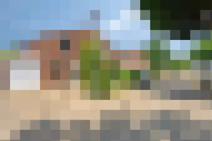 Op den Toum 93 Haelen thumbnail 28