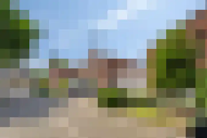Op den Toum 93 Haelen thumbnail 29