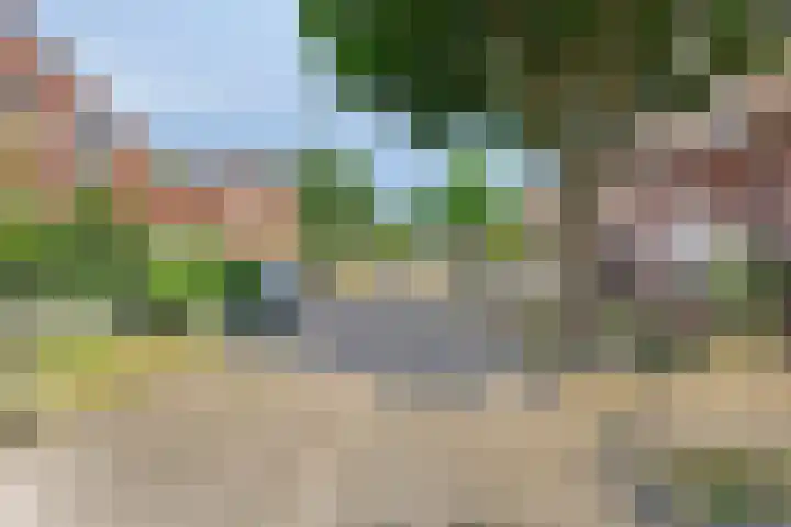 Op den Toum 93 Haelen thumbnail 30
