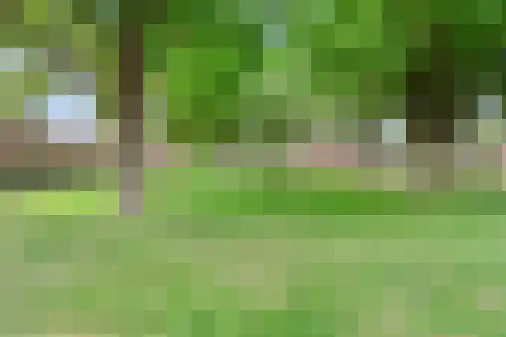 Op den Toum 93 Haelen thumbnail 32