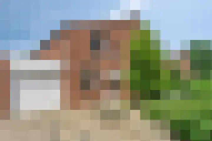 Op den Toum 93 Haelen thumbnail 36