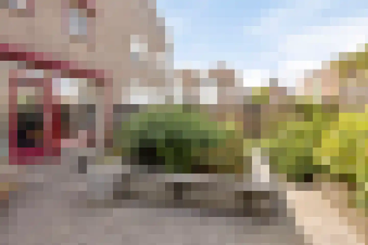 Op der Graaf 14 Landgraaf thumbnail 19