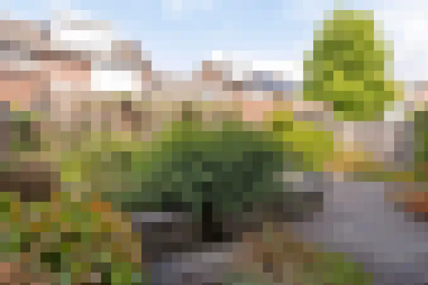 Op der Graaf 14 Landgraaf thumbnail 20