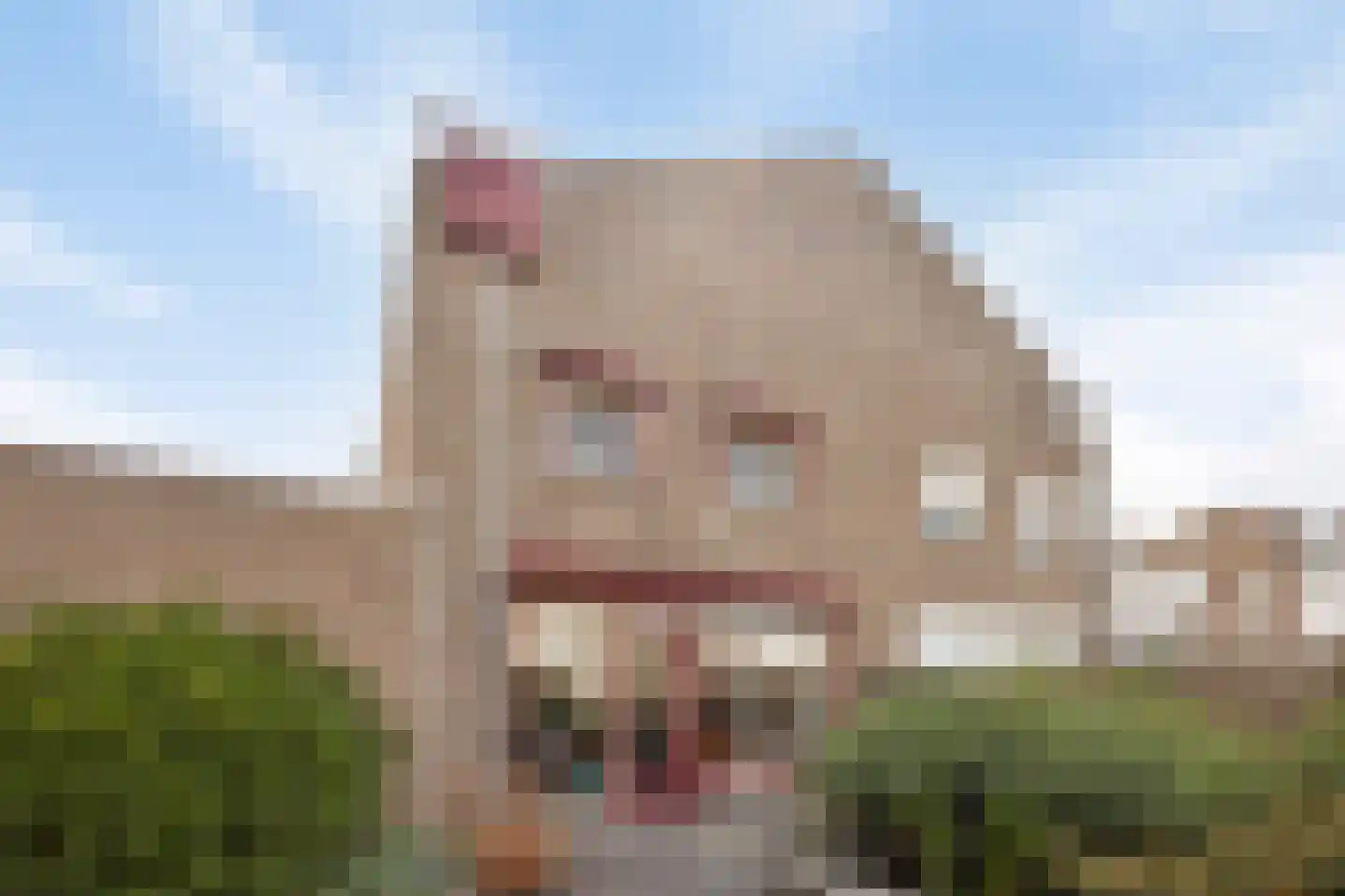 Op der Graaf 14 Landgraaf thumbnail 21