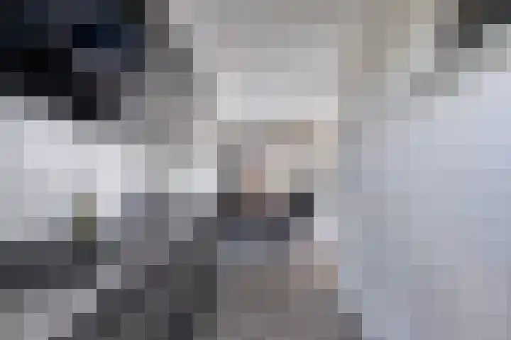 Op 'e Romte 22 Woudsend thumbnail 11